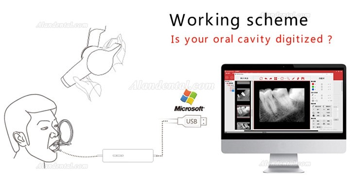 Handy HDR-600A Digital Intraoral Sensors Dental Xray Imaging Sensor System